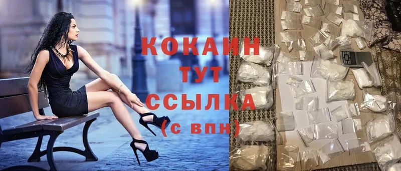 mega ССЫЛКА  купить закладку  дарк нет состав  COCAIN Fish Scale  Кудрово 